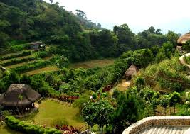 bencab museum garden in baguio city philippines